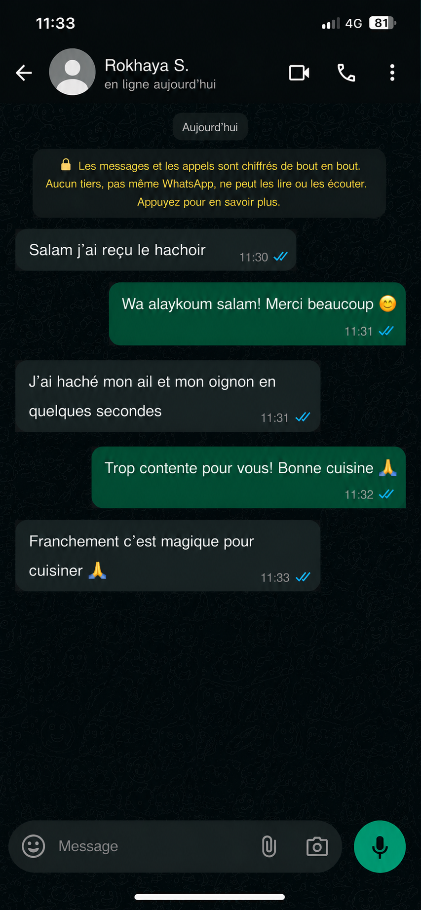 Hachoir Électrique Portable — Ail, Oignon & Piment en 10 Secondes